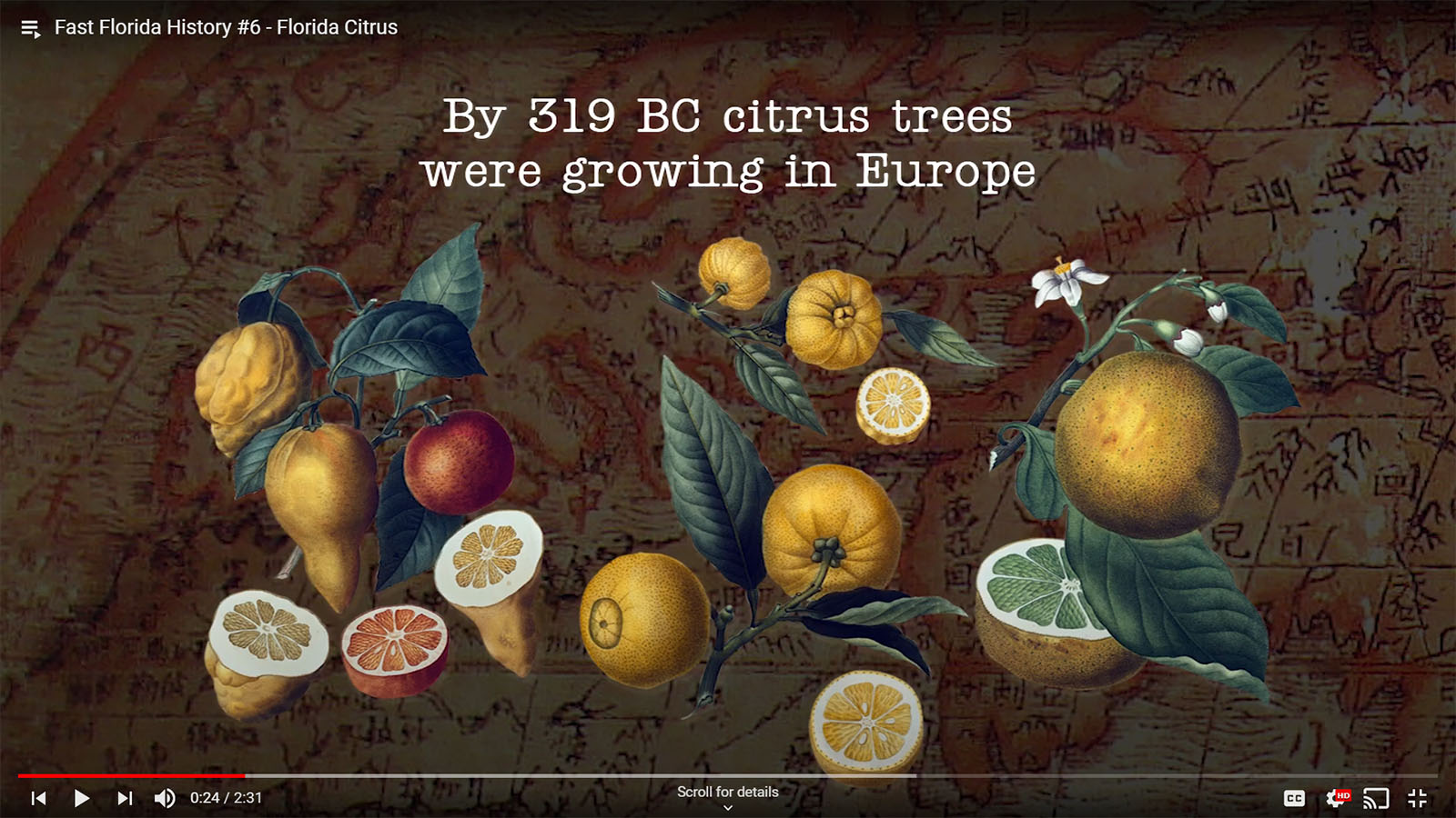 Citrus in Europe by 319 BC