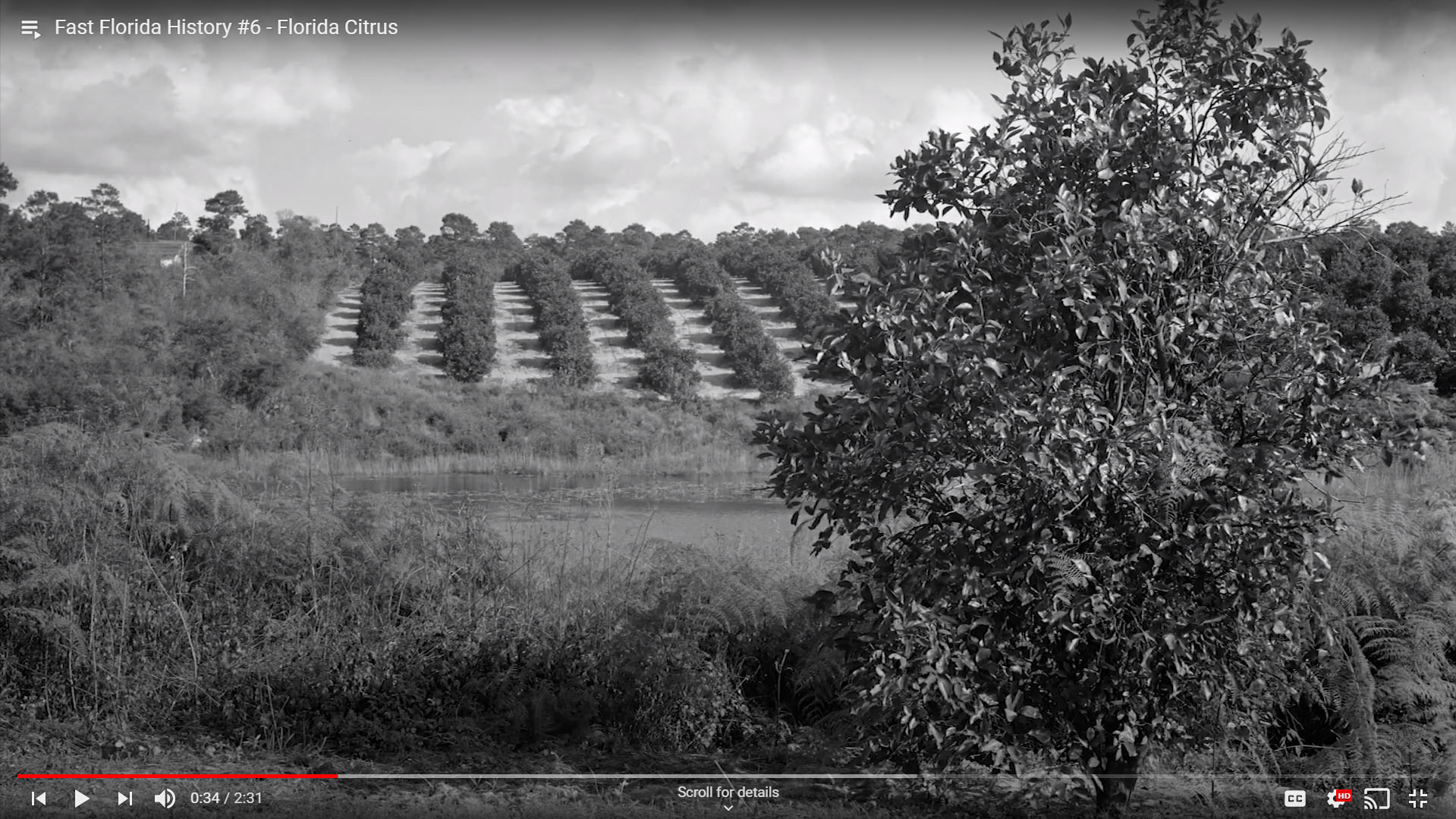 Florida Citrus Production