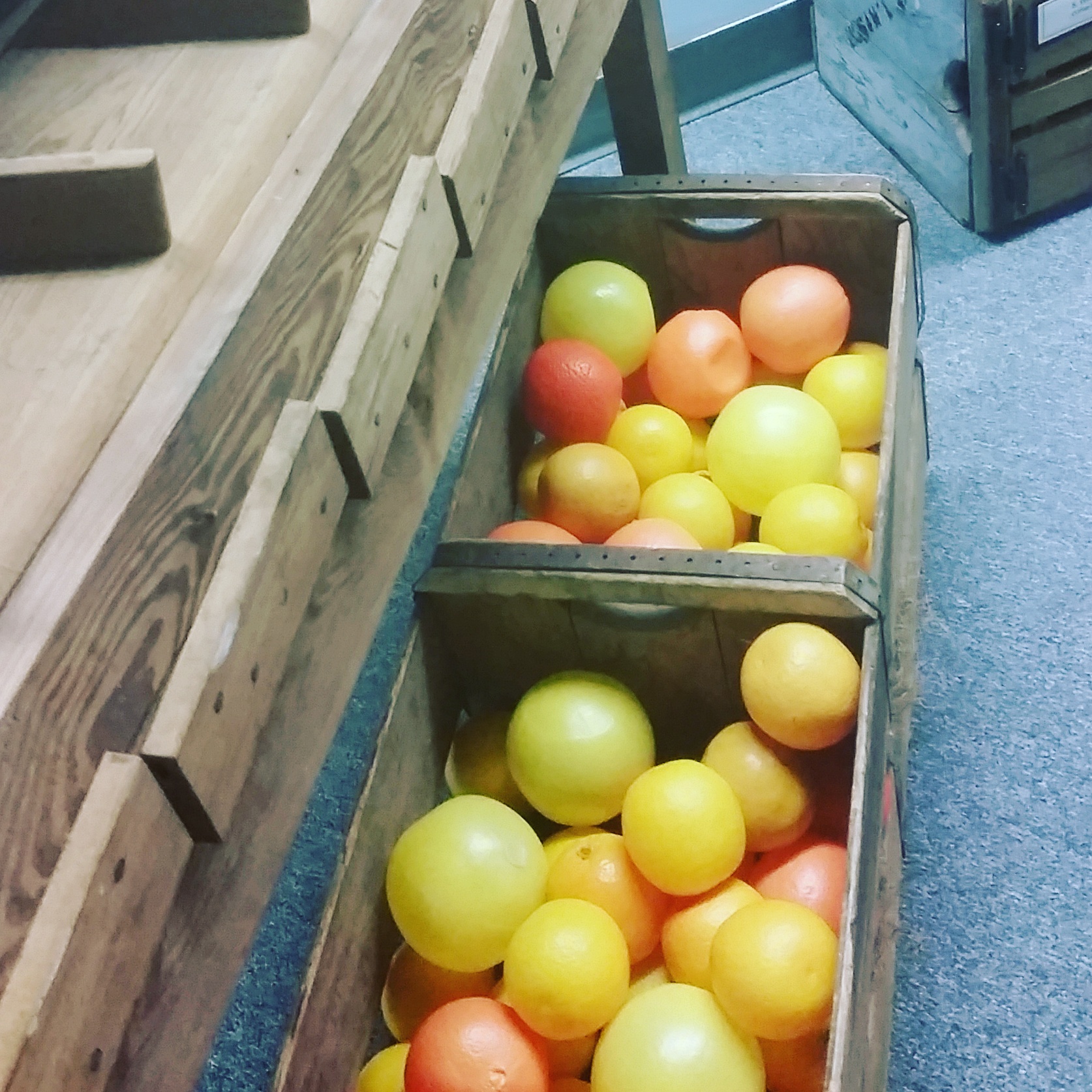 The Origin of Oranges Florida Historical Society