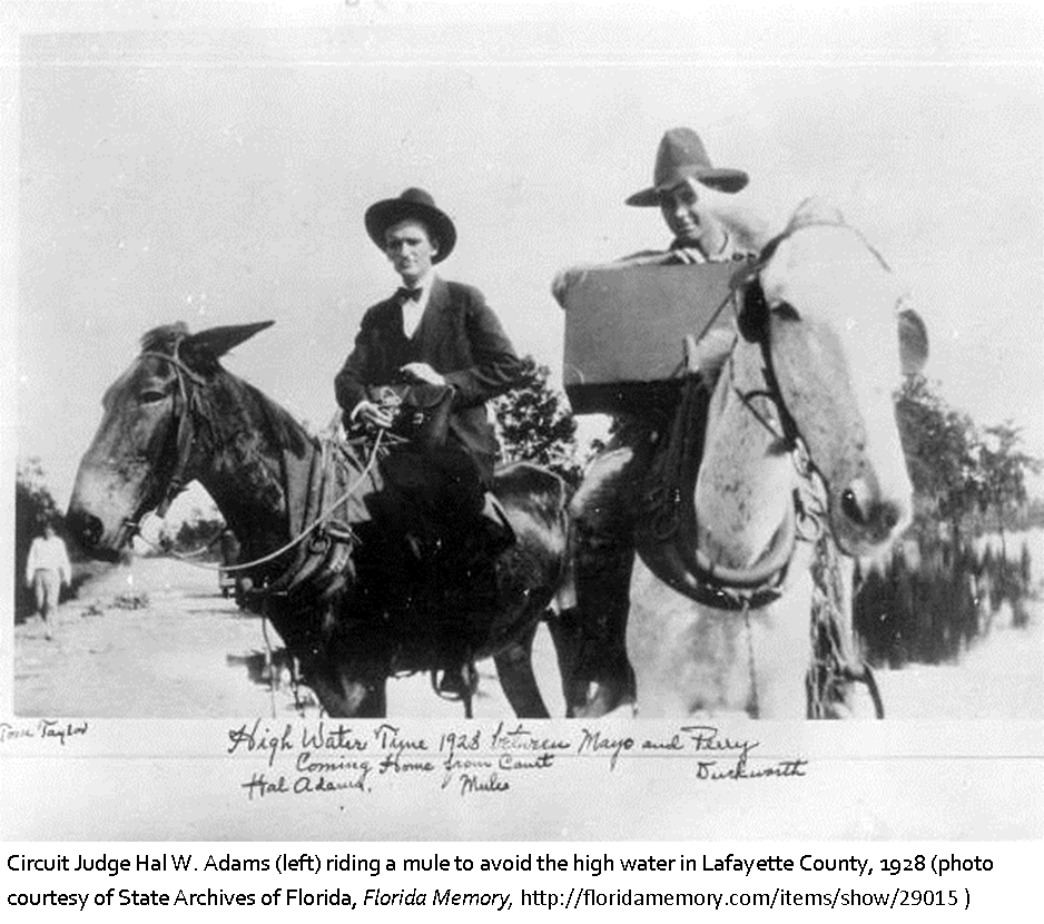 Lafayette County created Florida Historical Society