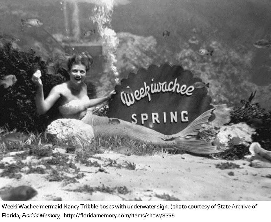 First Mermaid Show At Weeki Wachee Springs Florida Historical Society 