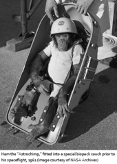 Ham the Astro chimp was launched into space