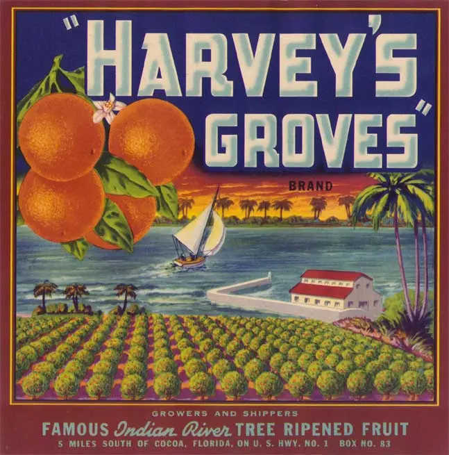 Florida Frontiers “Citrus Label Exhibit at the Brevard Museum of