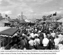 The Florida Citrus Exposition in Winter Haven, Florida was held.
