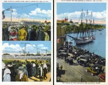 The South Florida Fair and Gasparilla Carnival opened in Tampa