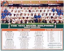 The Miami Dolphins