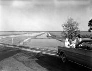 Paynes Prairie photo