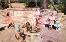 Postcard, fountain of youth