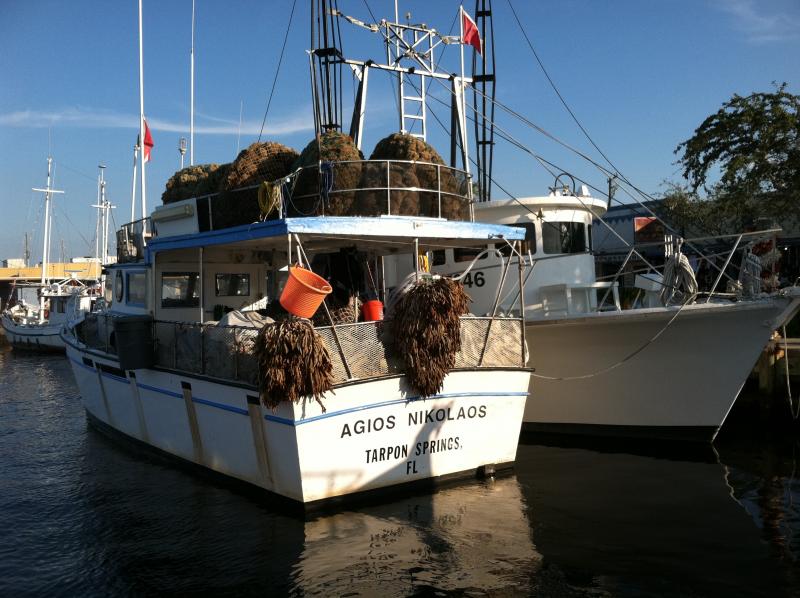 epiphany city tarpon springs