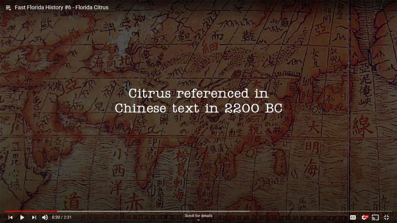 Fast Florida History #6 - Citrus in China as early as 2200 BC