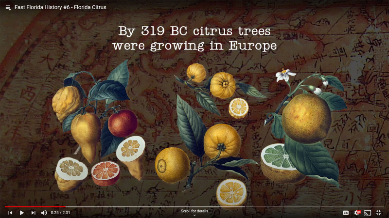 Fast Florida History #6 - Citrus in Europe by 319 BC