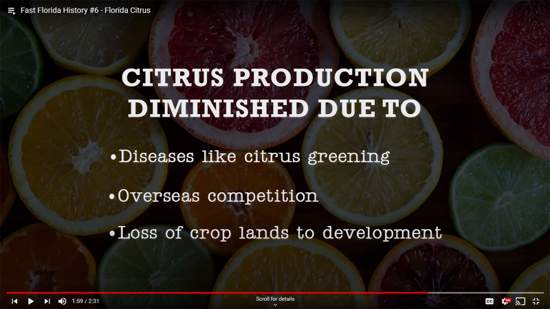 Fast Florida History #6 - Citrus Production Diminished