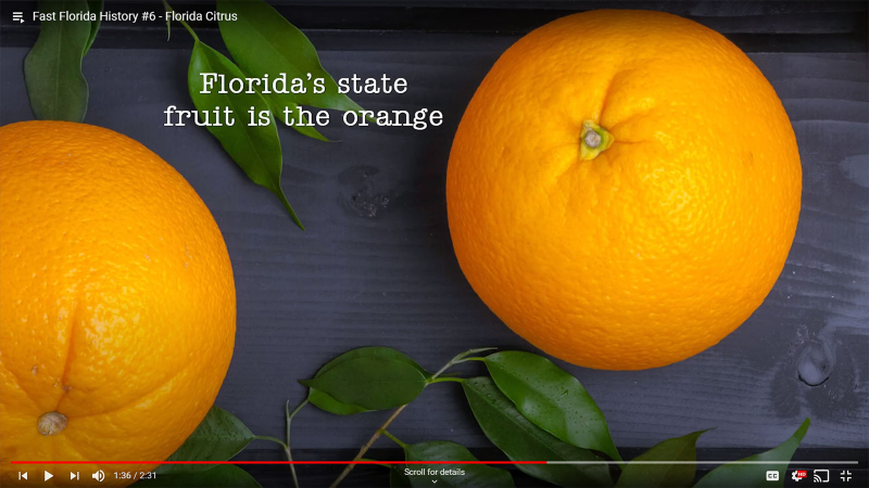 Fast Florida History #6 - Orange Blossom State Fruit