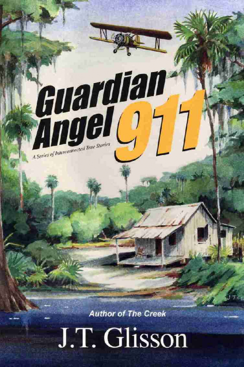 COVER: Guardian Angel 911: A series of Interconnected True Stories